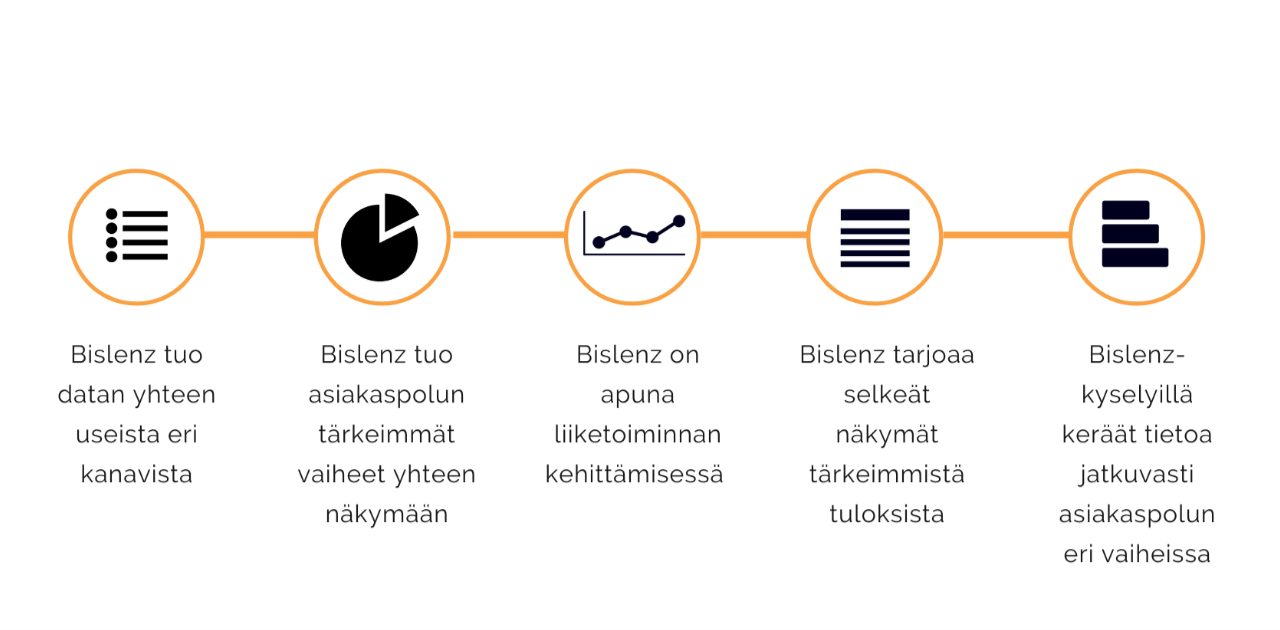 bislenz-työkalun sisältöjä: data, asiakaspolku, liikeotiminnan kehittäminen, yksi näkymä tuloksista ja asiakaskyselyt